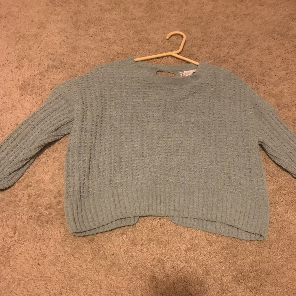 Pink Rose sweater, size large, and the color is a pastel green.